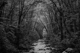 thumbnails/020-tn-3690-2.jpg.small.jpeg