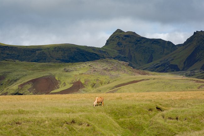 ../previews/008-iceland-2796.jpg.medium.jpeg