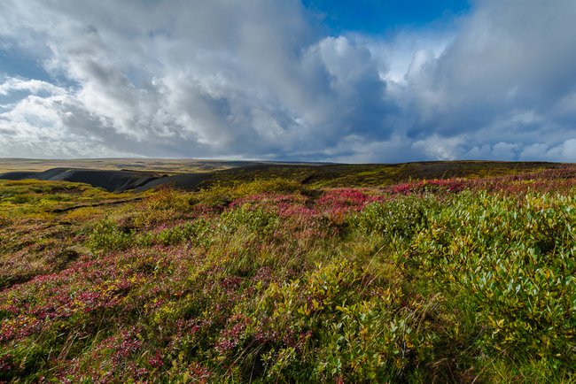 ../previews/027-iceland-4008.jpg.medium.jpeg