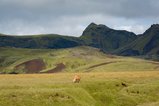 thumbnails/008-iceland-2796.jpg.small.jpeg